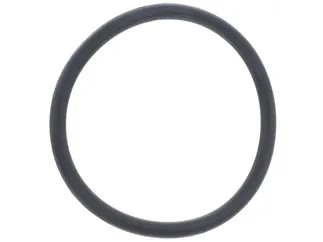 Victor Reinz O-Ring - 11417614770